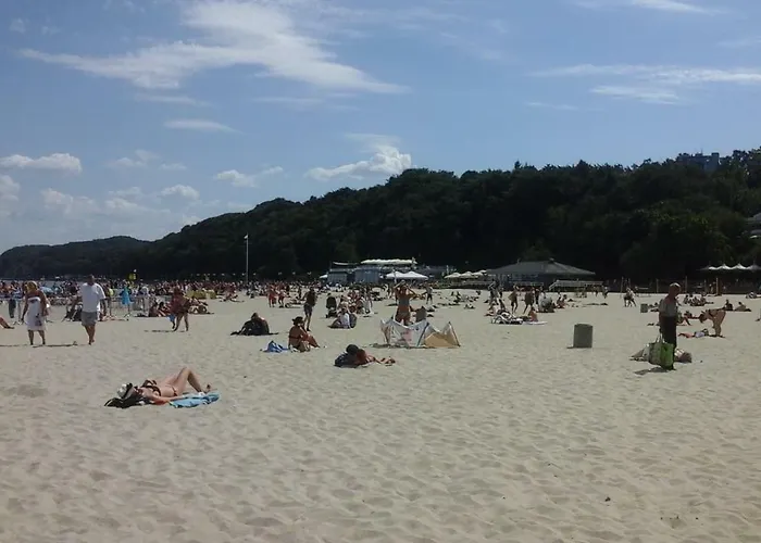 Mieszkanie 格丁尼亚